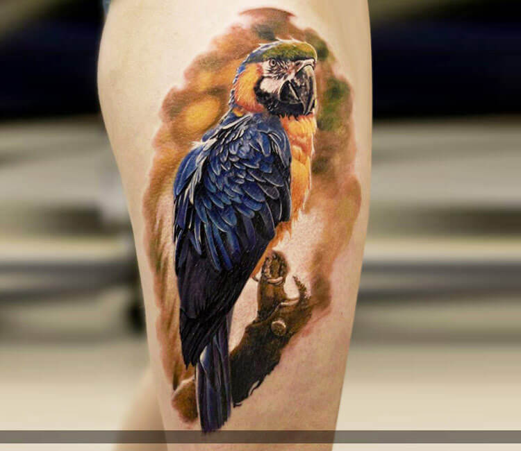 Parrot tattoo by Alexander Romashev