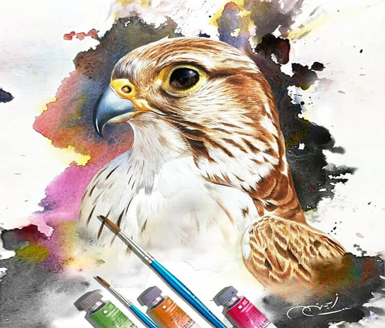 Eagle color painting by Ayman Arts