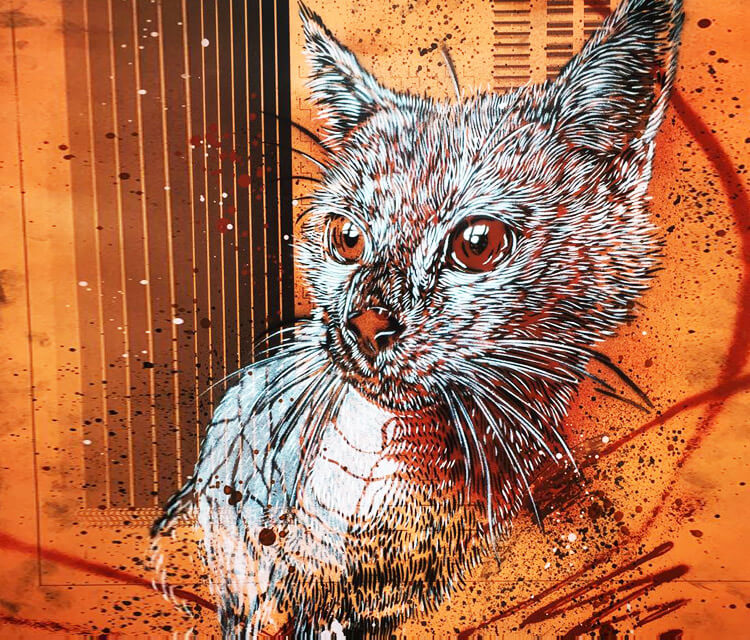 Caturday by C215