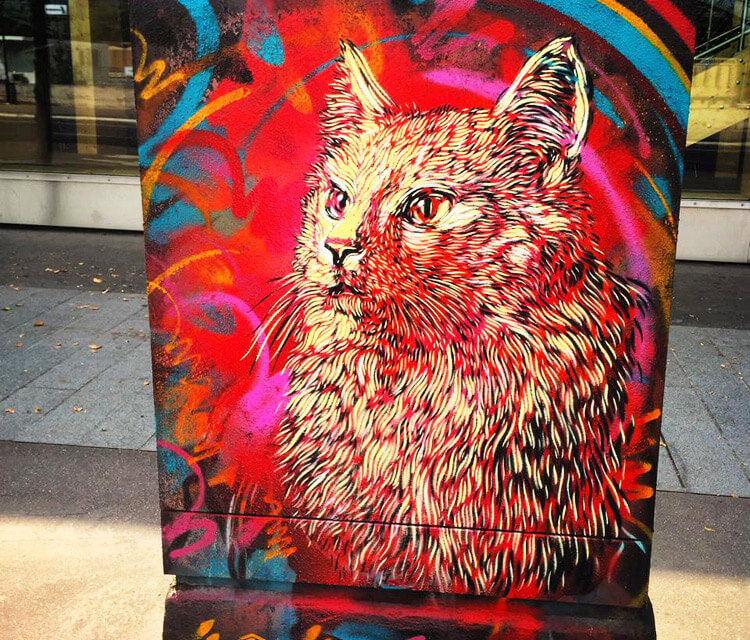 Meow cat streetart by C215