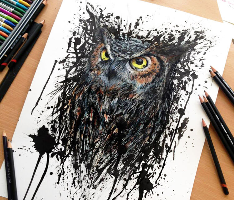 Owl drawing by DinoTomic