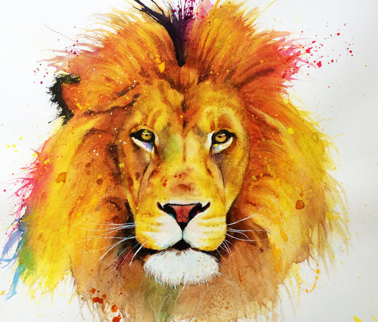 Lion watercolor painting by Jonathan Knight Art