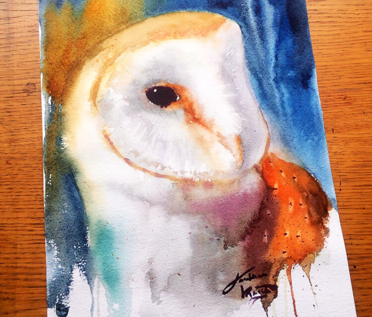 Owl painting by Jonathan Knight Art