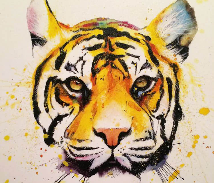 Tiger watercolor painting by Jonathan Knight Art