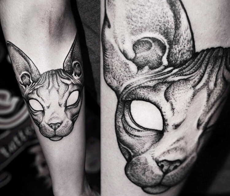 Cat dotwork tattoo by Kamil Czapiga