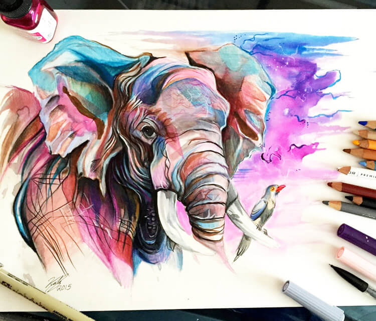 African Elephant color drawing by Katy Lipscomb Art