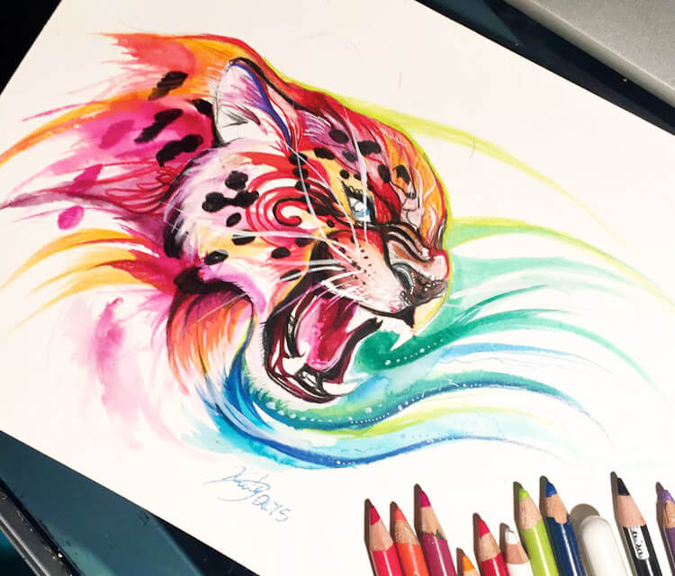 Jaguar color drawing by Katy Lipscomb Art