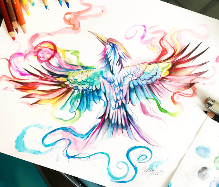 Mockingjay color drawing by Katy Lipscomb Art