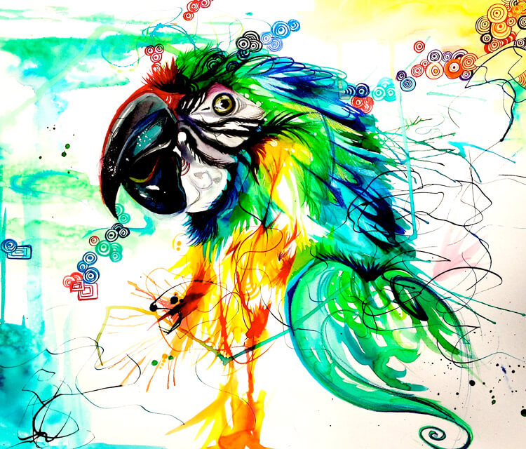 Parrot color drawing by Katy Lipscomb Art