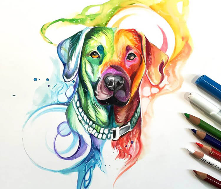 Rainbow Dog color drawing by Katy Lipscomb Art