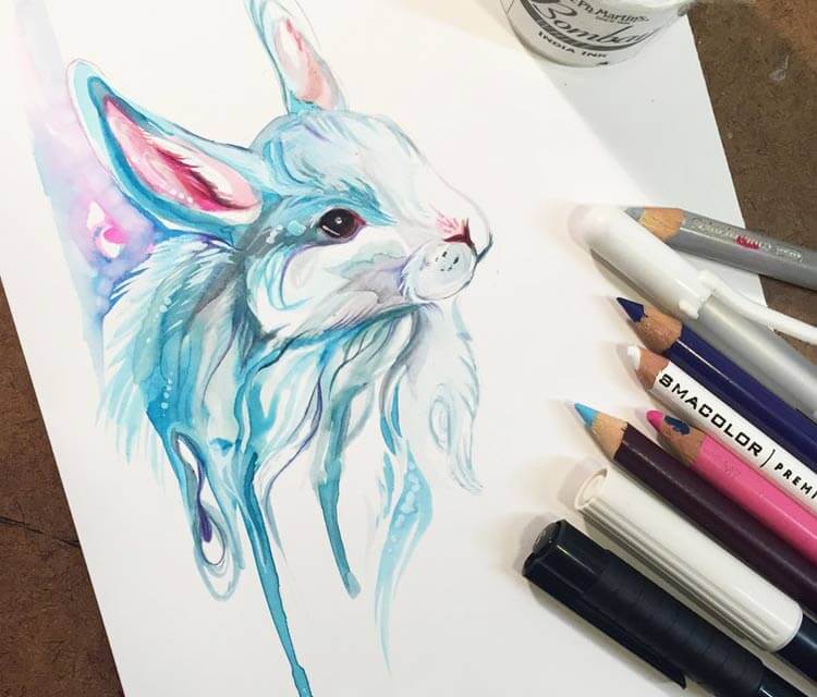 Winter bunny color drawing by Katy Lipscomb Art