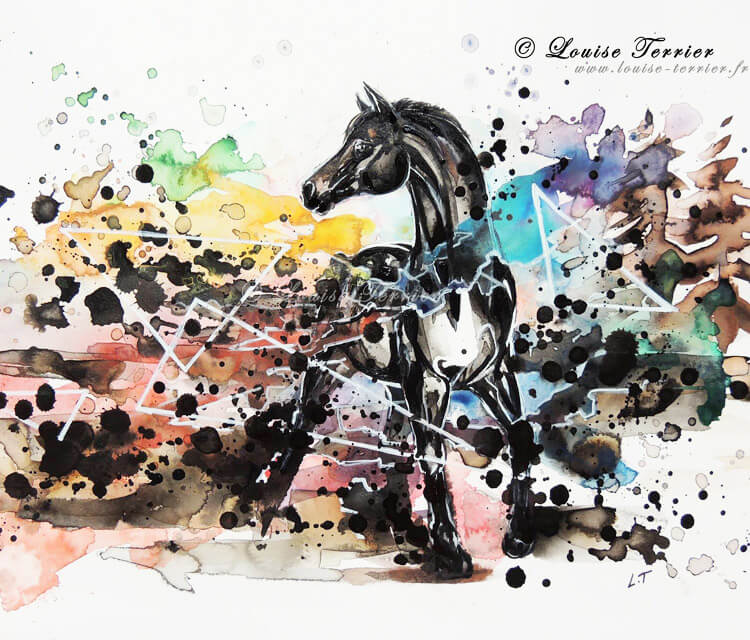 Black Horse  by Louise Terrier