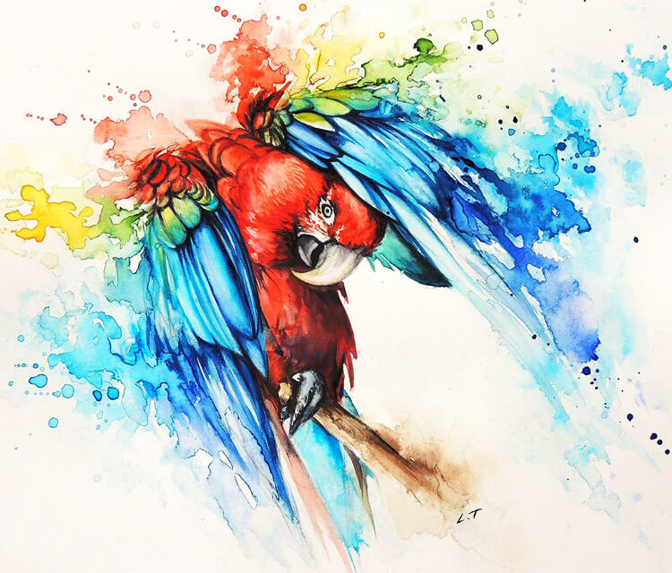 Parrot Watercolor by Louise Terrier