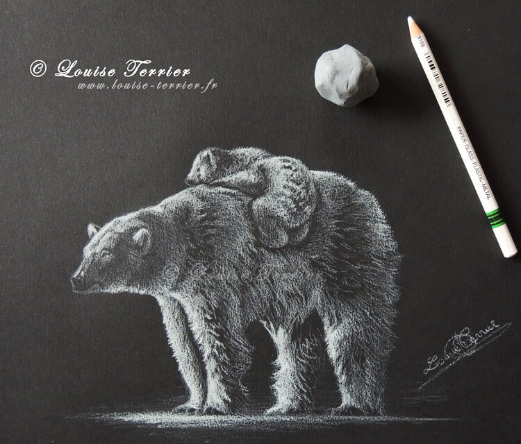 White Bear drawing by Louise Terrier