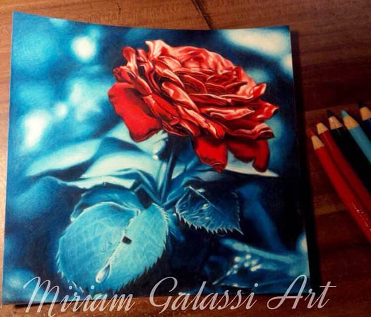 Flower drawing by Miriam Galassi