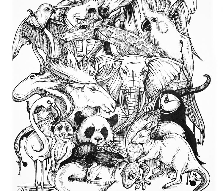 Animal kingdom drawing by Mirik Bodliak