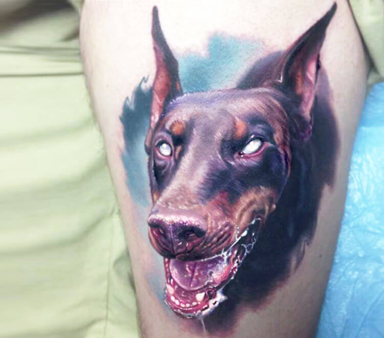 Dracula dog portrait by Paul Acker