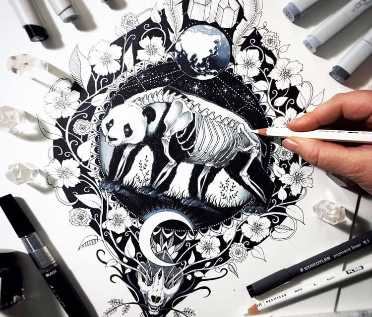 1600, Panda drawing by Pixie Cold