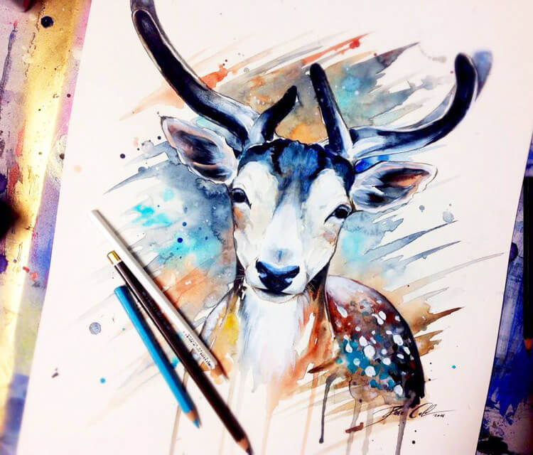 Pixie Deer watercolor painting by Pixie Cold