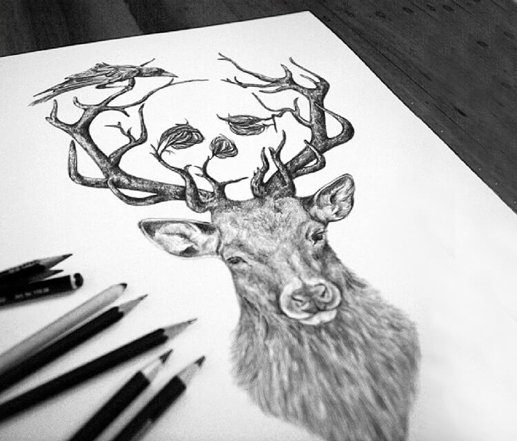 Deer with Crows drawing by Sneaky Studios