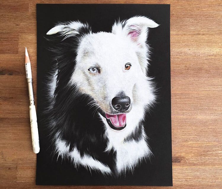 Doggie drawing by Stephen Ward