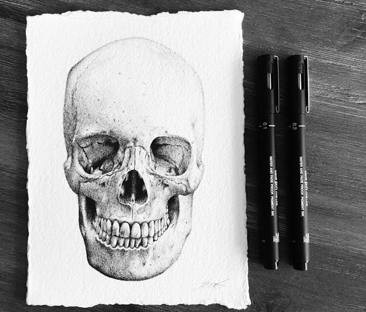 Skull by Stephen Ward