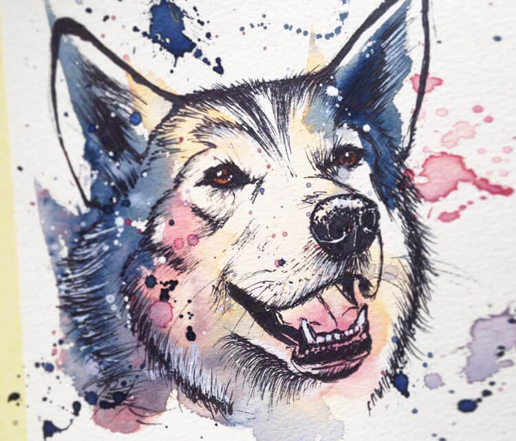 Siberian Husky watercolor painting by Tori Ratcliffe Art