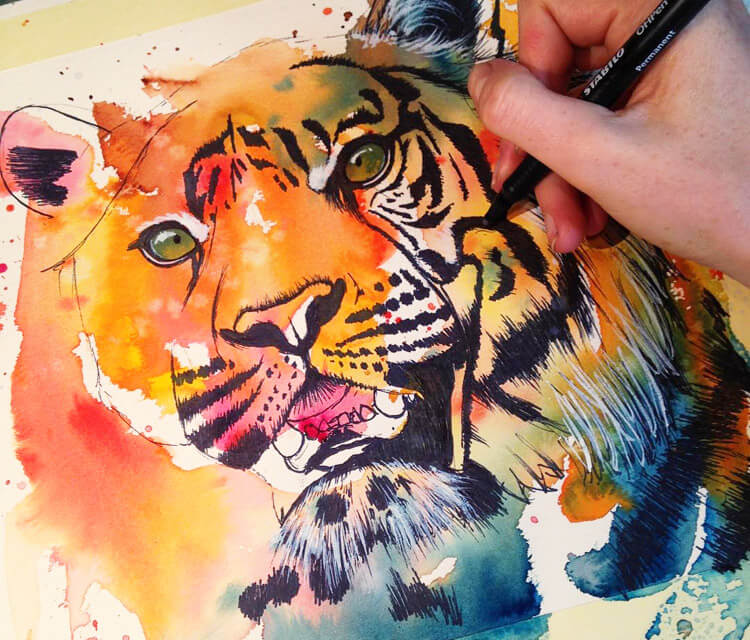 Tiger in progress watercolor painting by Tori Ratcliffe Art