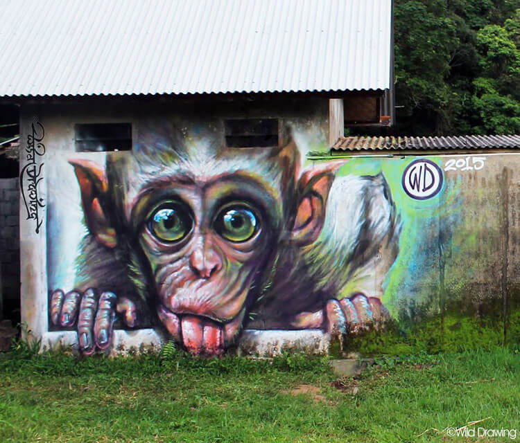 Green day monkey streetart by Wild Drawing